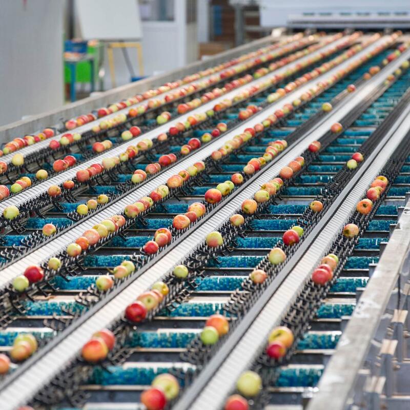 Lebensmittelindustrie