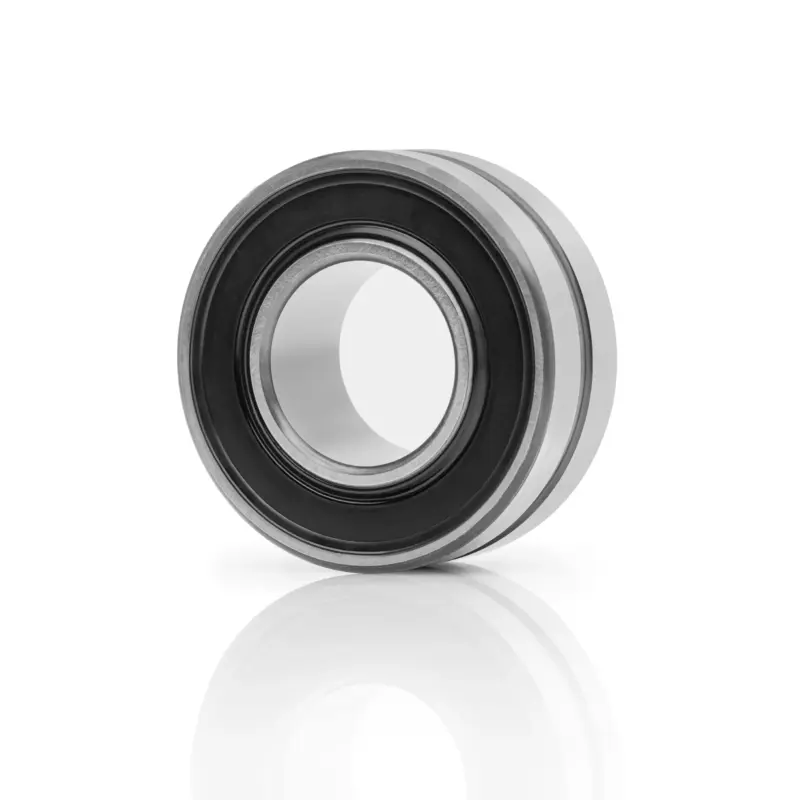 Fud Skf 46 Sr Bs2 2206 Rs 2560x2543px